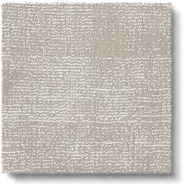 Plush Sheer Pearl Carpet 8224