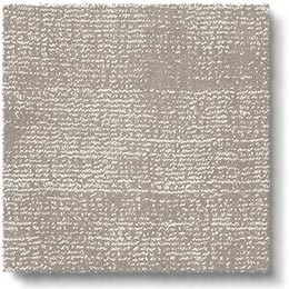 Plush Sheer Moonstone Carpet 8226